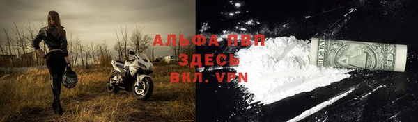 тгк Карпинск