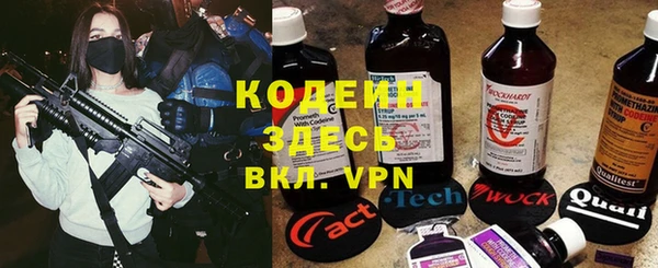 ПСИЛОЦИБИНОВЫЕ ГРИБЫ Карталы