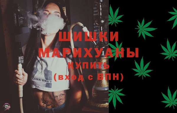 ПСИЛОЦИБИНОВЫЕ ГРИБЫ Карталы