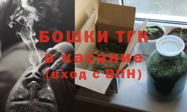 ПСИЛОЦИБИНОВЫЕ ГРИБЫ Карталы